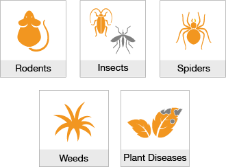 昆虫、クモ、ネズミ類、雑草、植物病害